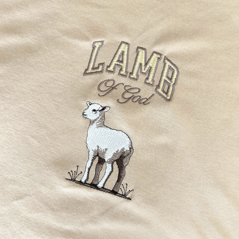 Camiseta Oversized - The Lamb of God